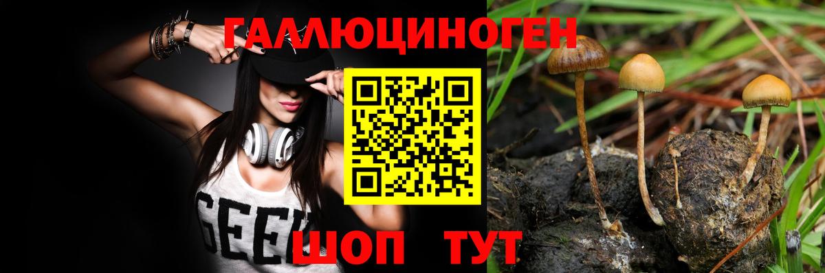 Ессентуки  Псилоцибиновые грибы MAGIC MUSHROOMS  магазин продажи   Вход с VPN 